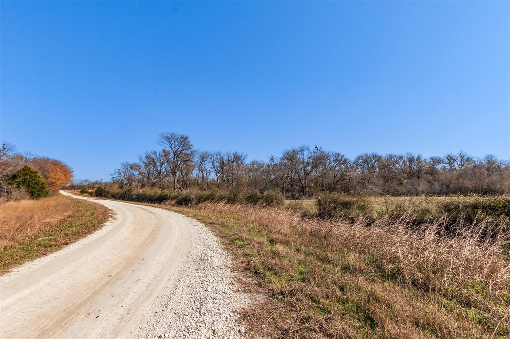 TBD Virgie Community Road, Magnolia, Texas image 10