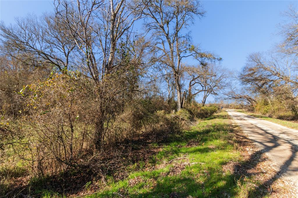 TBD Virgie Community Road, Magnolia, Texas image 4