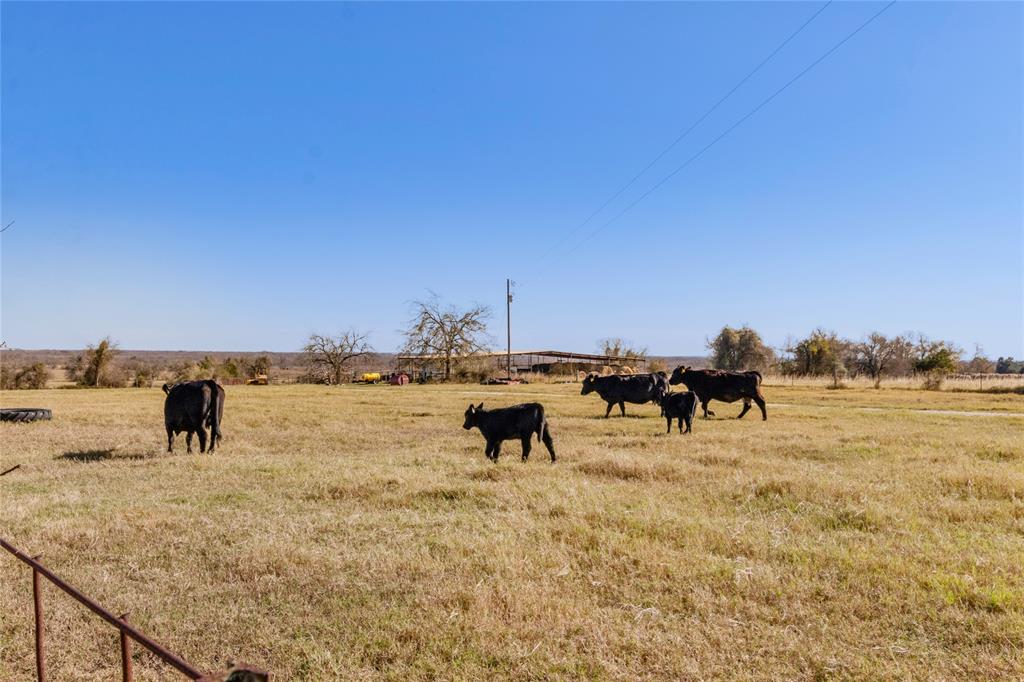 TBD Virgie Community Road, Magnolia, Texas image 24