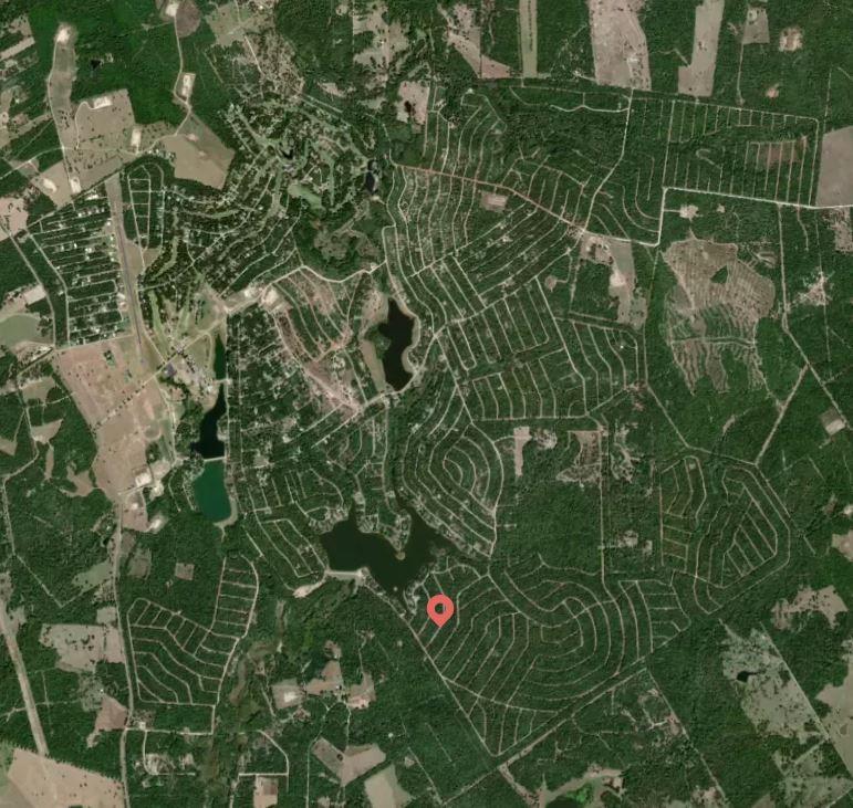 Lot 11 Thoroughbred, Normangee, Texas image 4