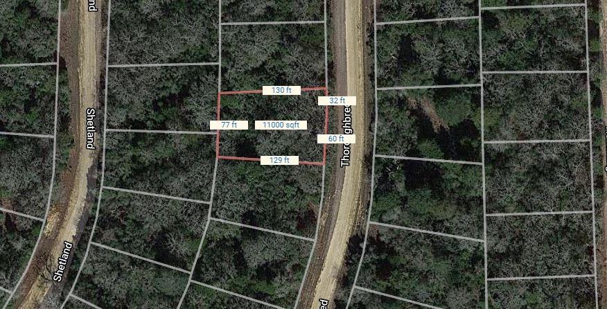 Lot 11 Thoroughbred, Normangee, Texas image 2