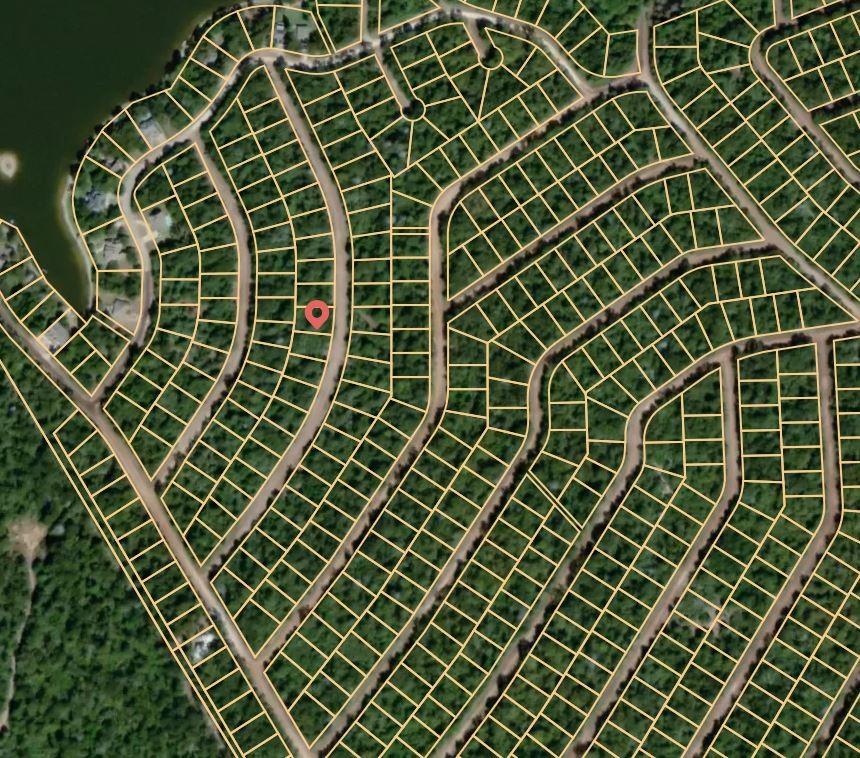 Lot 11 Thoroughbred, Normangee, Texas image 3