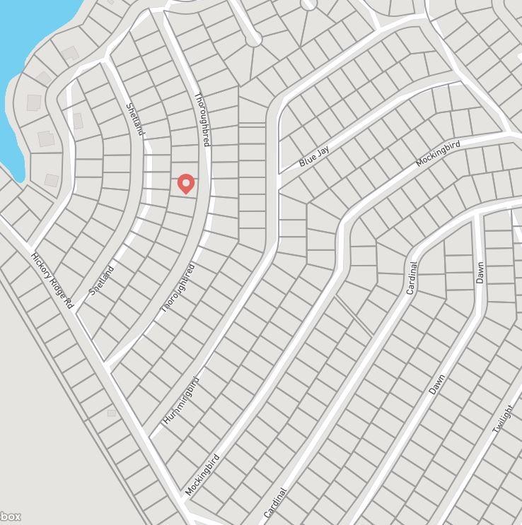 Lot 11 Thoroughbred, Normangee, Texas image 6
