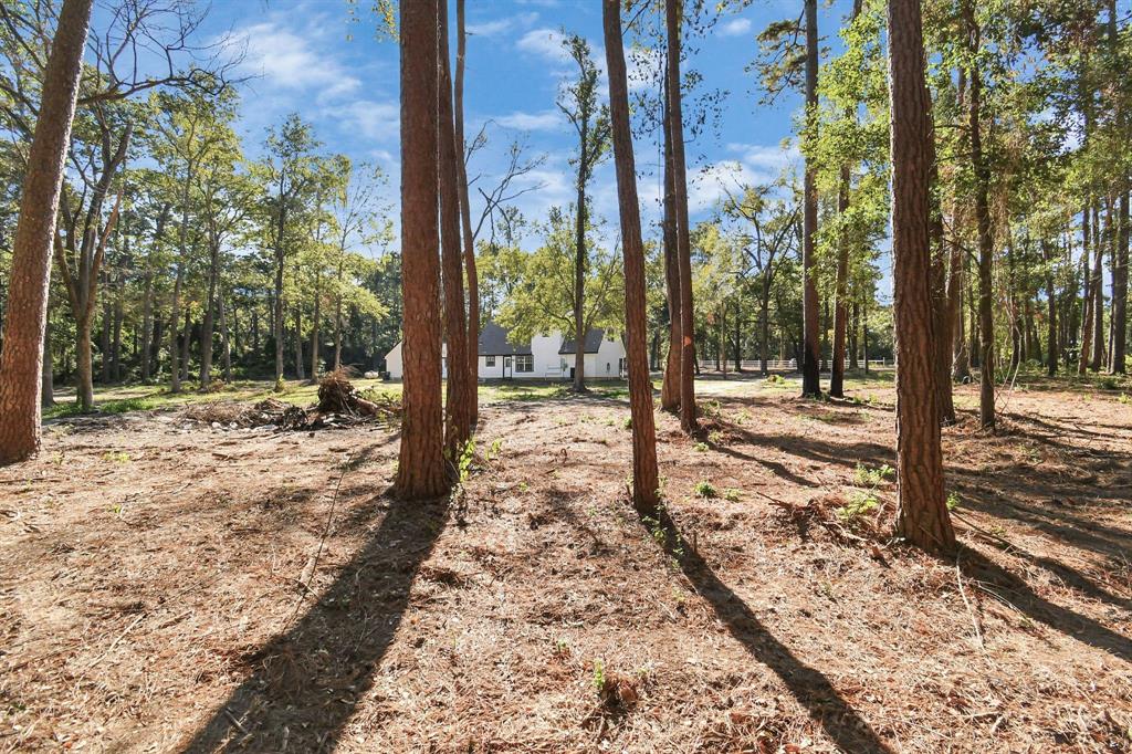 18940 Julie Lane, Magnolia, Texas image 37