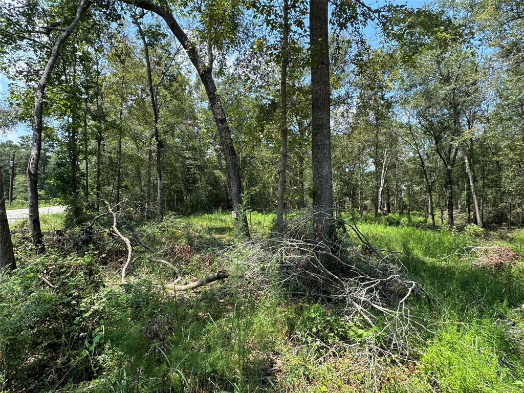 19959 Old Highway 105, Cleveland, Texas image 8