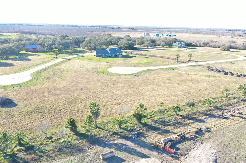 Cattle Drive, Bay City, Texas image 6