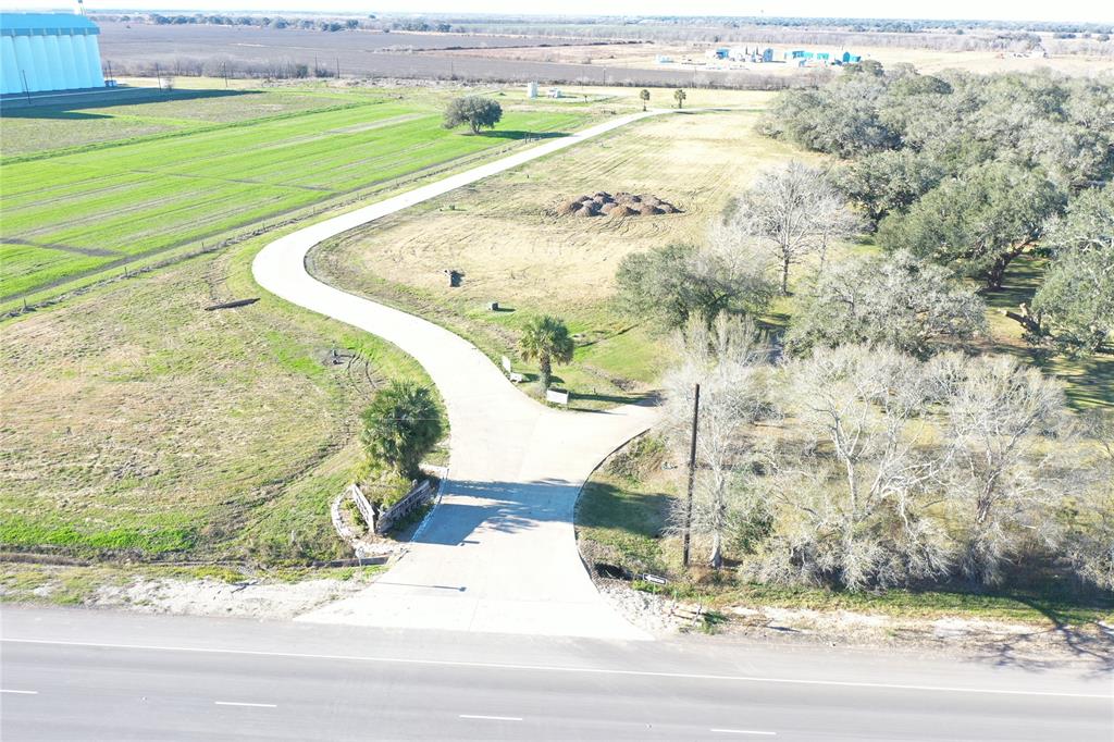 Cattle Drive, Bay City, Texas image 3