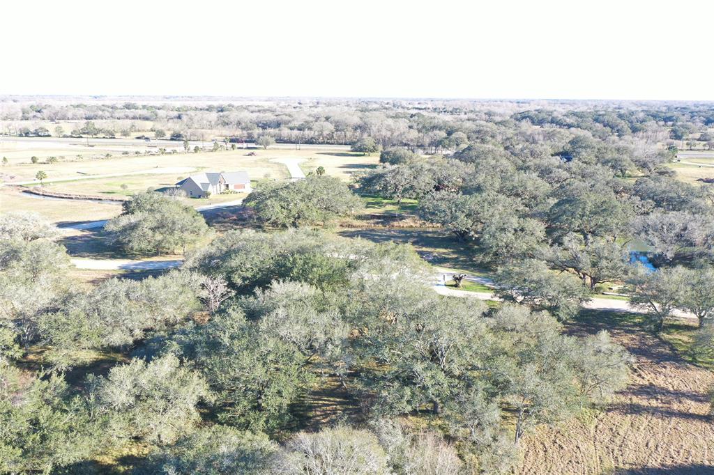 Cattle Drive, Bay City, Texas image 5