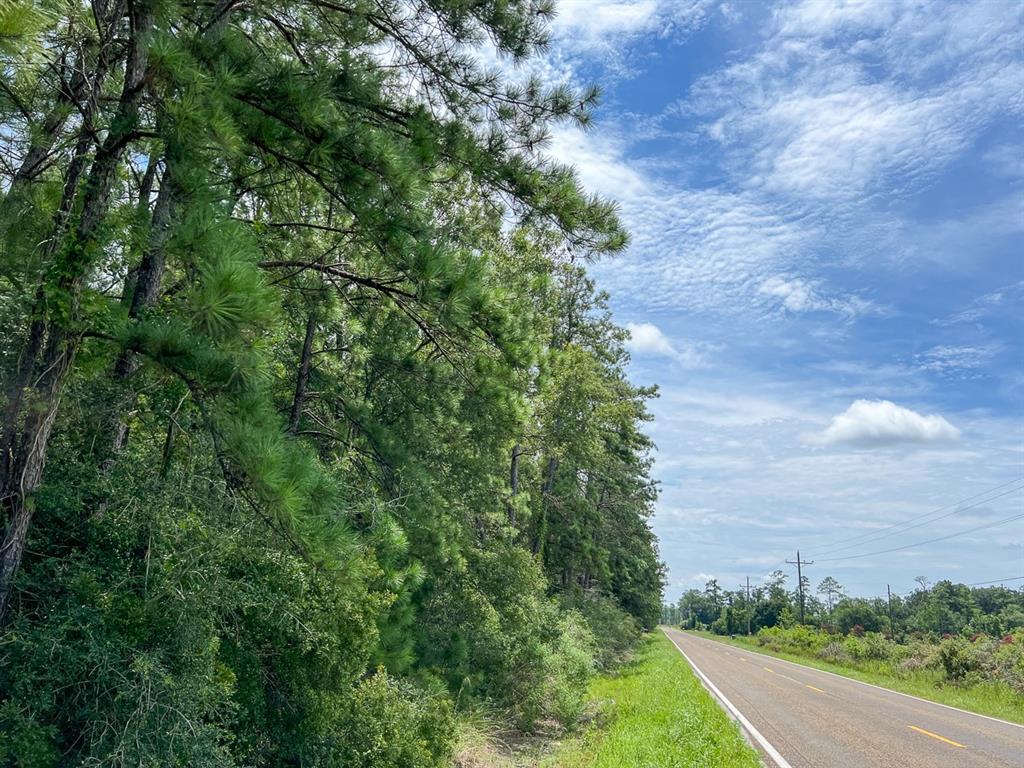 Fm 1136, Orange, Texas image 6