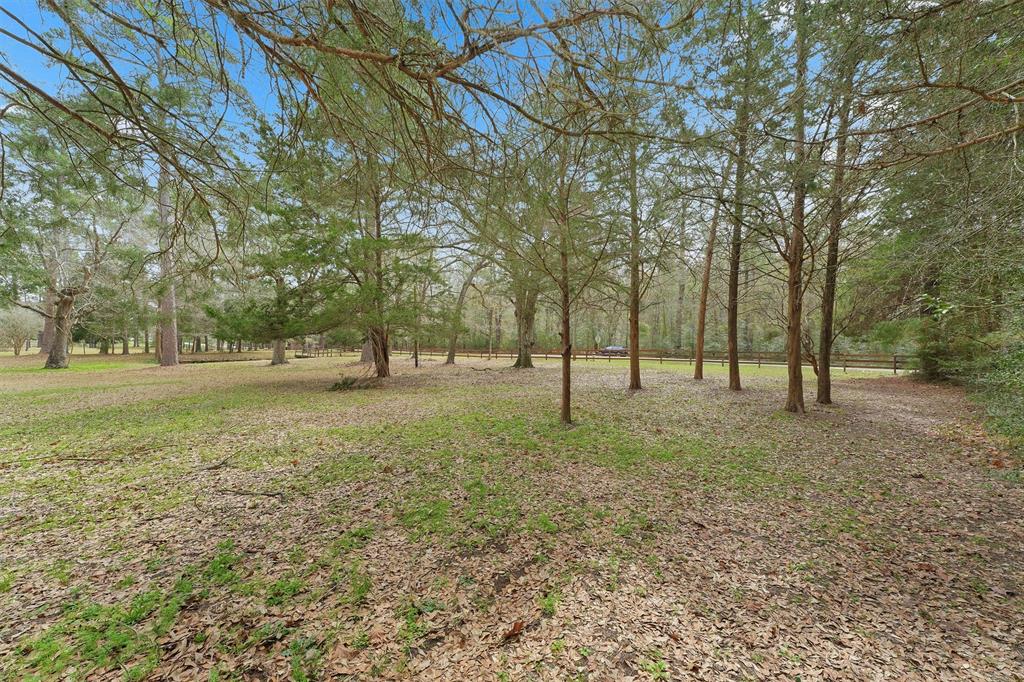 31926 Dobbin Huffsmith Road, Magnolia, Texas image 19