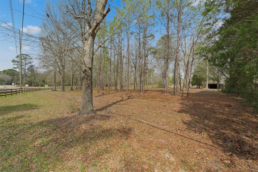 31926 Dobbin Huffsmith Road, Magnolia, Texas image 7