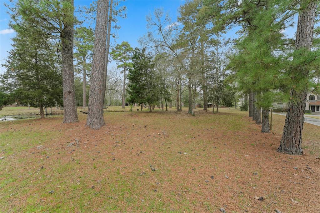 31926 Dobbin Huffsmith Road, Magnolia, Texas image 16