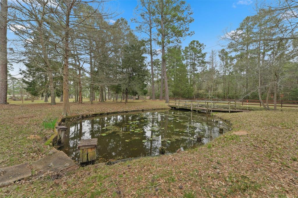 31926 Dobbin Huffsmith Road, Magnolia, Texas image 15