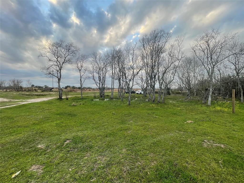 Magnolia Magnolia Place, Fresno, Texas image 1