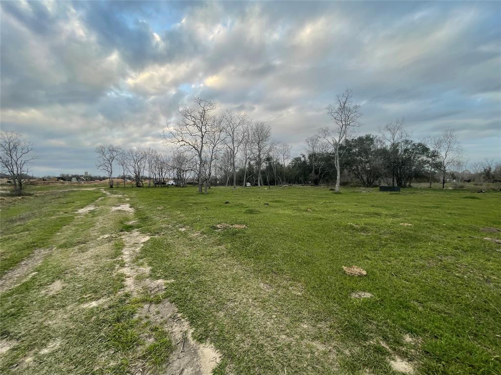 Magnolia Magnolia Place, Fresno, Texas image 6
