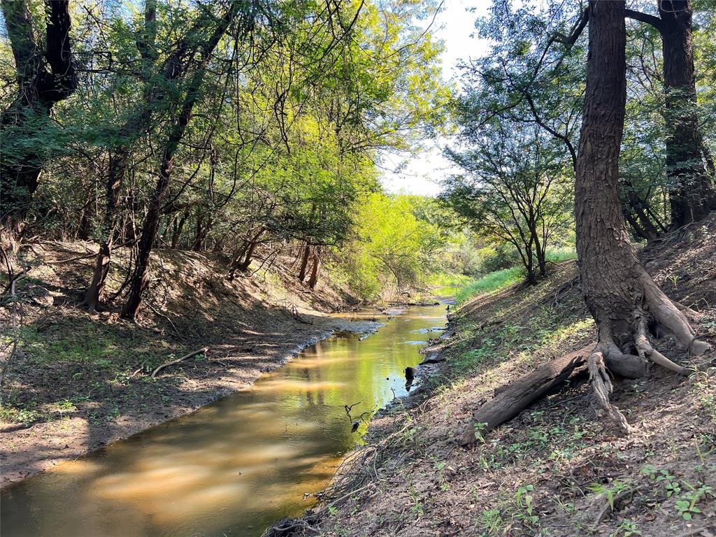 8573 Private Road 1235, Centerville, Texas image 6