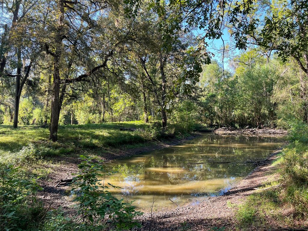 8573 Private Road 1235, Centerville, Texas image 12