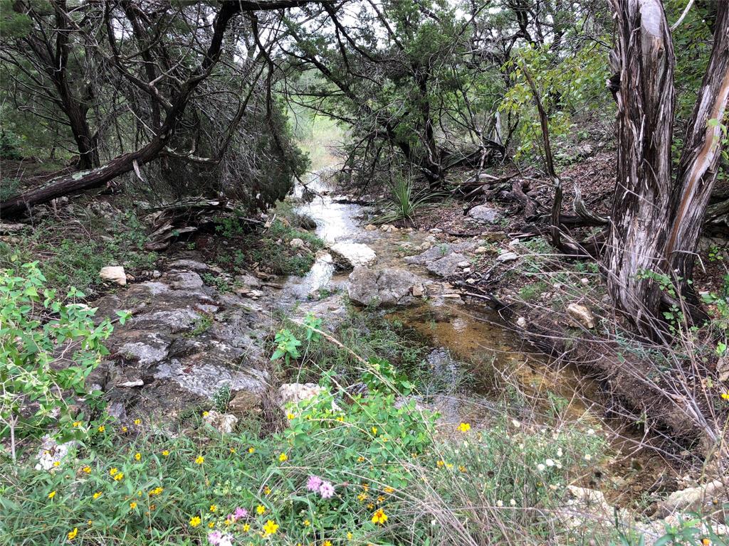 2700 Hillside Circle, New Braunfels, Texas image 5