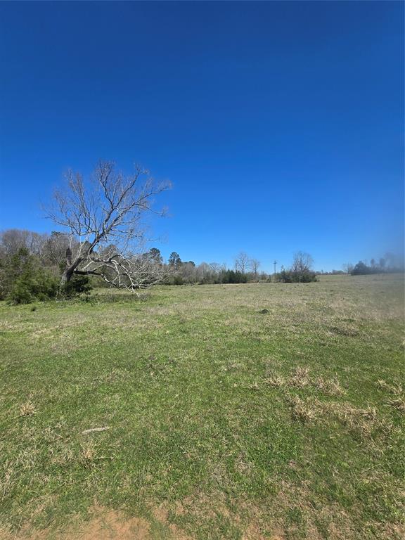 00 Tbd Mimms Rd, New Waverly, Texas image 11