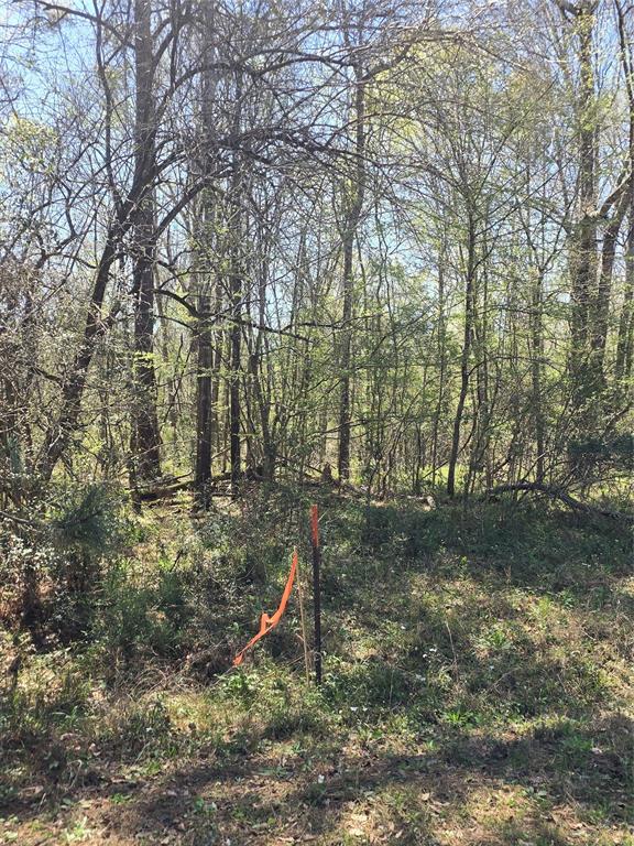 00 Tbd Mimms Rd, New Waverly, Texas image 27