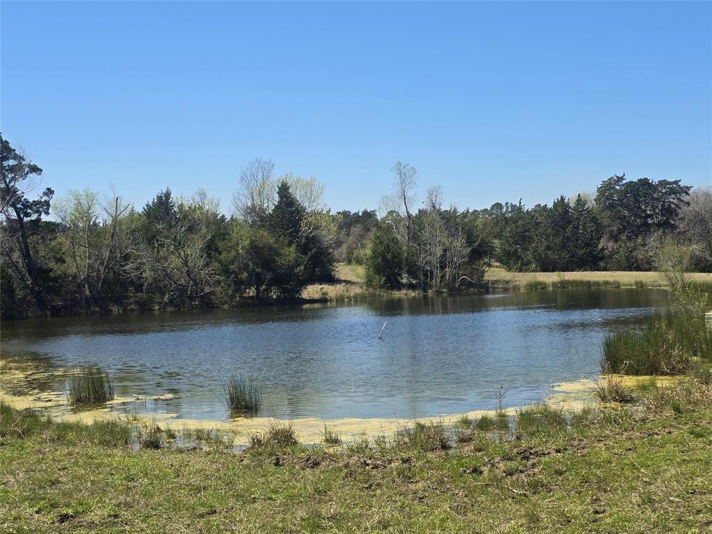 00 Tbd Mimms Rd, New Waverly, Texas image 1