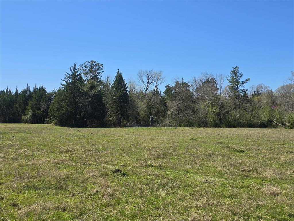00 Tbd Mimms Rd, New Waverly, Texas image 24