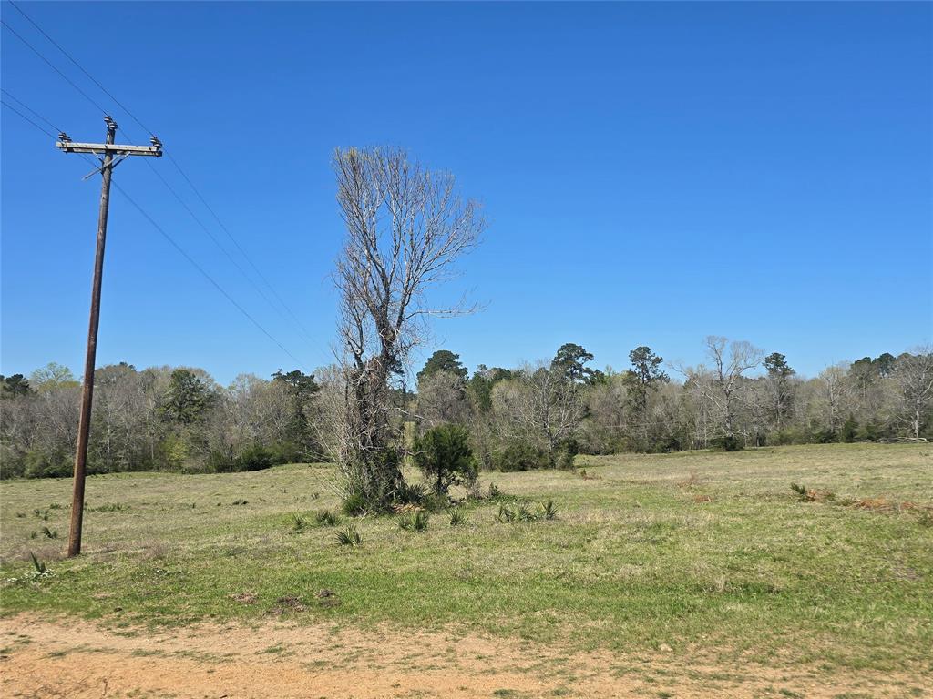 00 Tbd Mimms Rd, New Waverly, Texas image 23