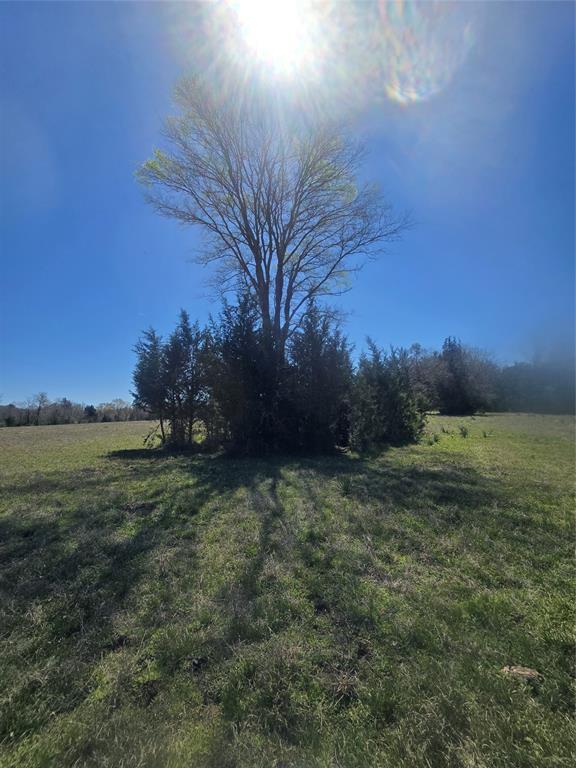 00 Tbd Mimms Rd, New Waverly, Texas image 13