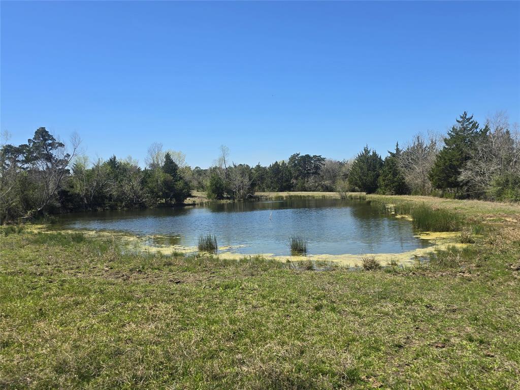 00 Tbd Mimms Rd, New Waverly, Texas image 14