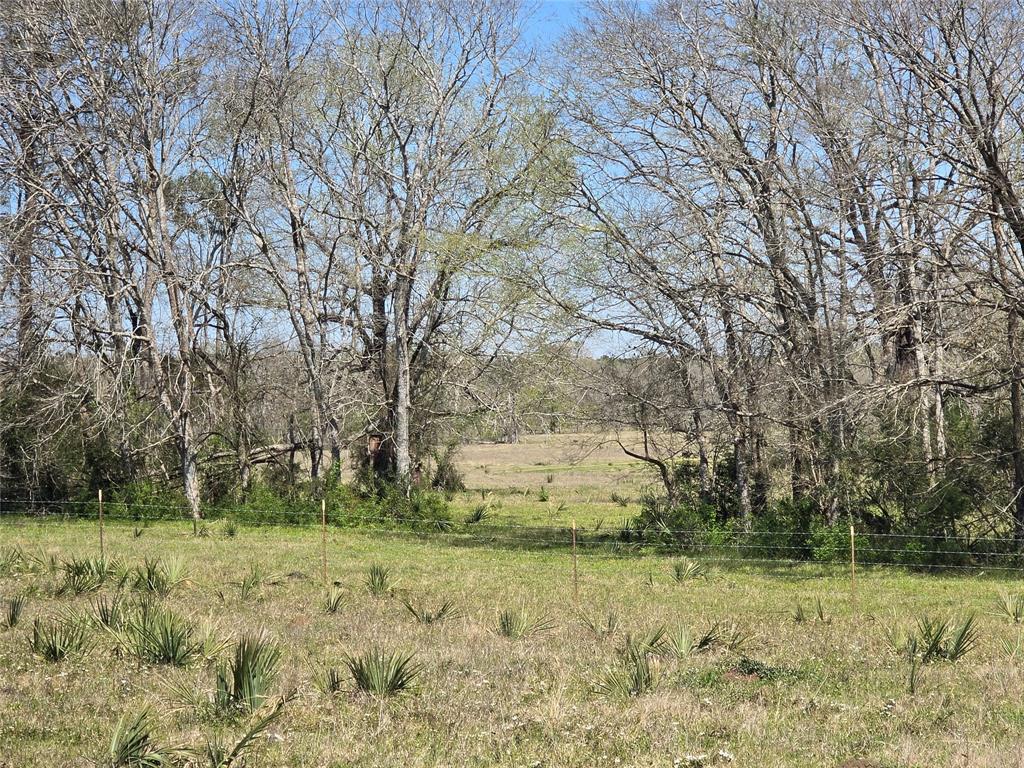 00 Tbd Mimms Rd, New Waverly, Texas image 20