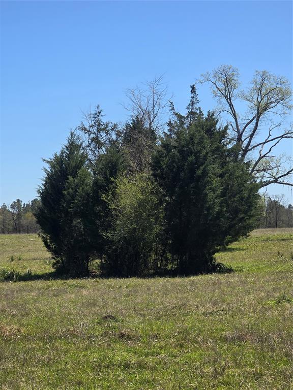 00 Tbd Mimms Rd, New Waverly, Texas image 12