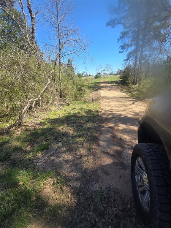 00 Tbd Mimms Rd, New Waverly, Texas image 8
