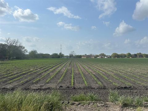 TBD01 Scroggins Road Wallis TX 77485