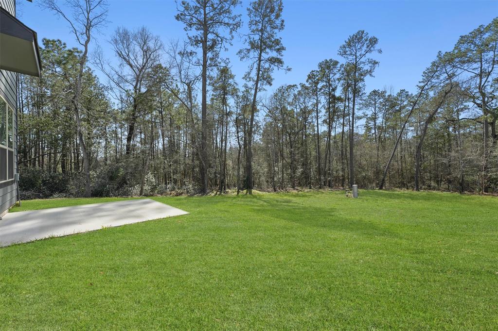 11069 Magnolia Bend, Conroe, Texas image 24