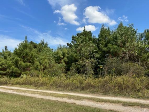 20402 Tealwood Street, Waller, Texas image 3