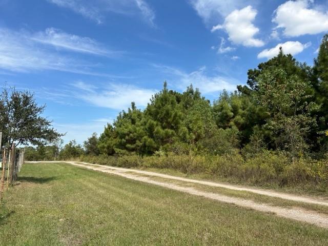 20402 Tealwood Street, Waller, Texas image 5