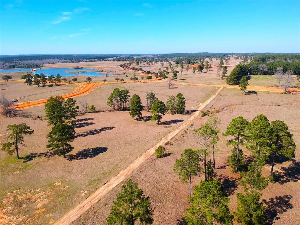 TBD W Madison Lake Lot 360 Road, Hillister, Texas image 17