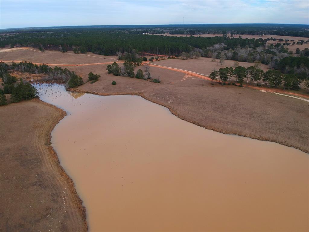 TBD W Madison Lake Lot 360 Road, Hillister, Texas image 3