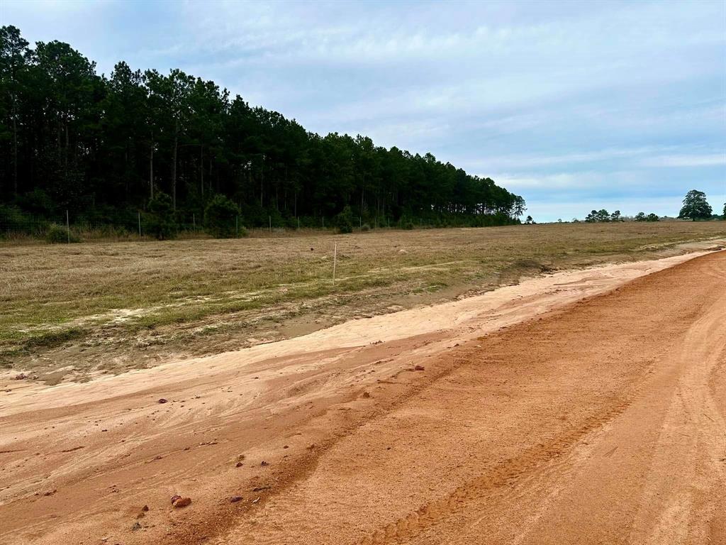 TBD W Madison Lake Lot 360 Road, Hillister, Texas image 7