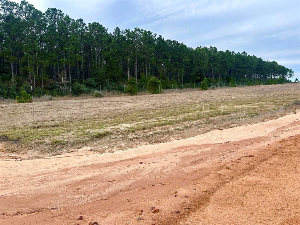 TBD W Madison Lake Lot 360 Road, Hillister, Texas image 8