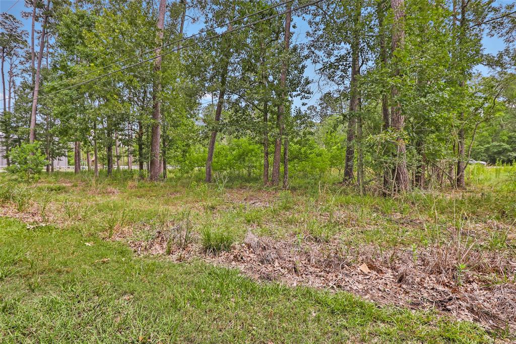 TBD Echo Lane, Huffman, Texas image 7