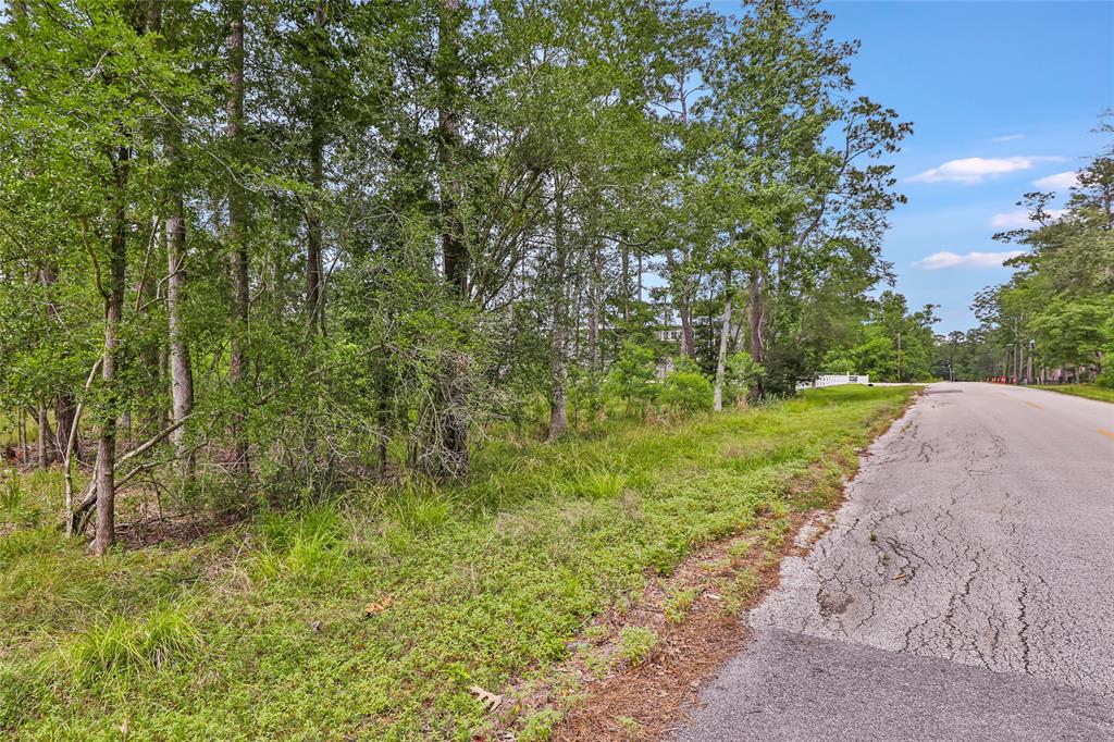 TBD Echo Lane, Huffman, Texas image 1