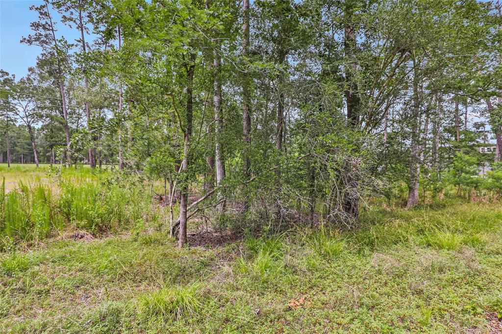 TBD Echo Lane, Huffman, Texas image 4