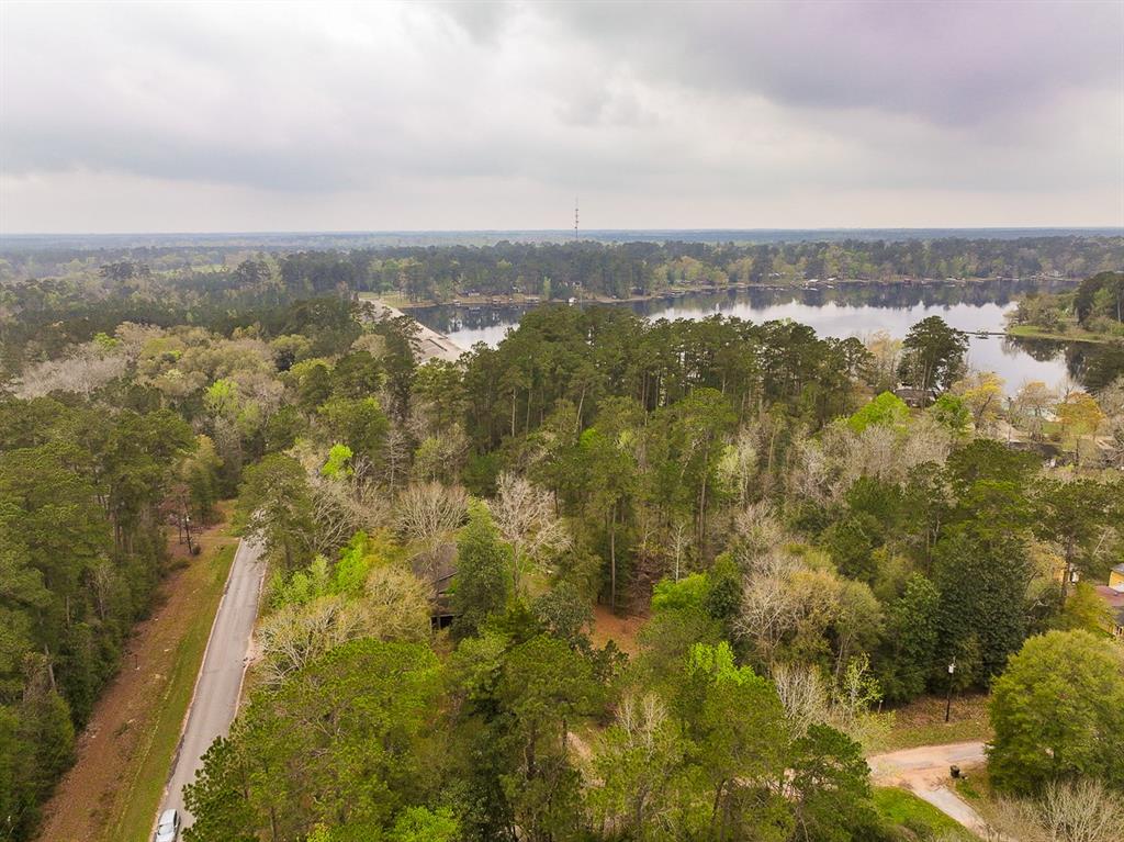 Chanticleer Drive, Woodville, Texas image 8