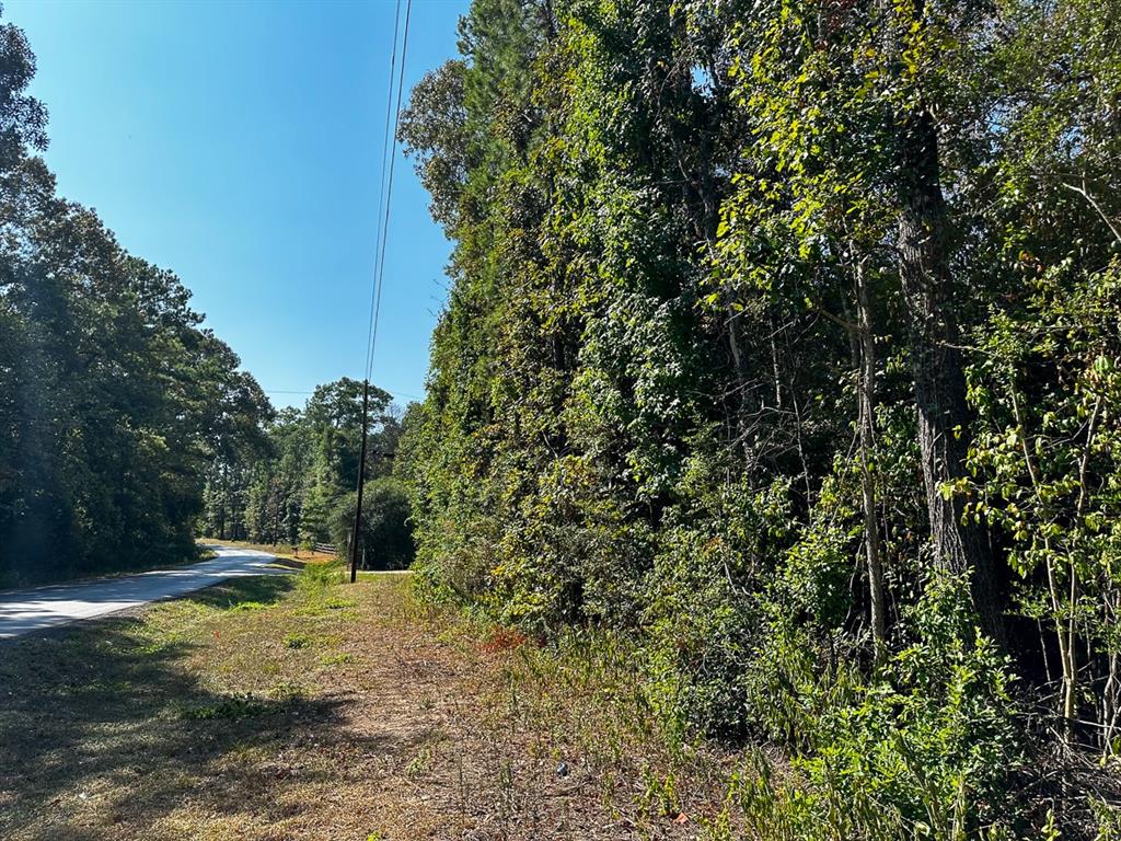 Chanticleer Drive, Woodville, Texas image 2