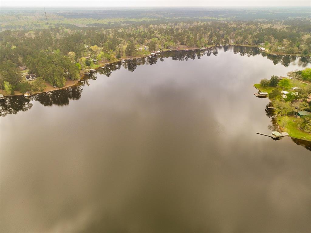 Chanticleer Drive, Woodville, Texas image 1