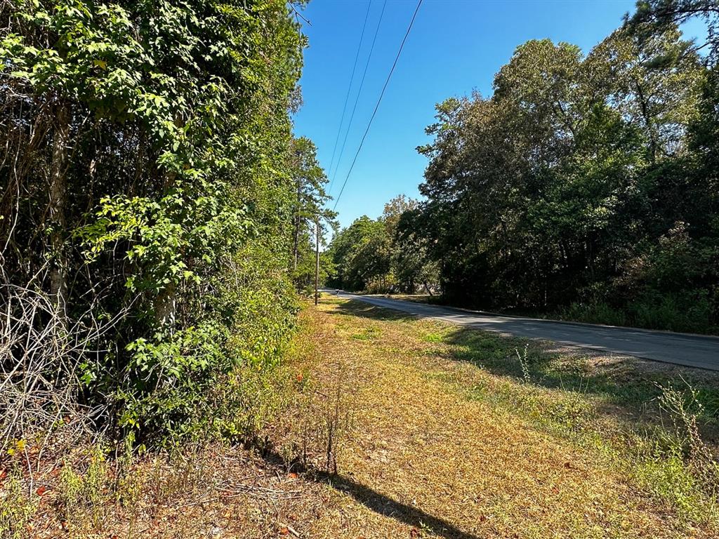 Chanticleer Drive, Woodville, Texas image 7