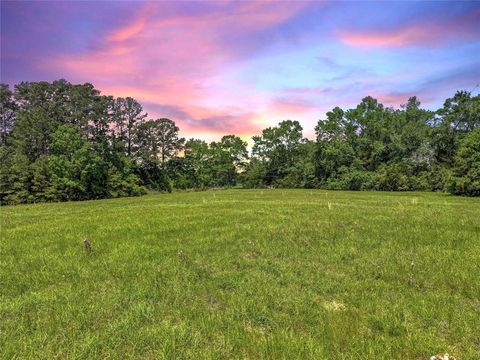 Photo of 398 County Road 172, Jasper, TX 75951 (MLS # 72324928)