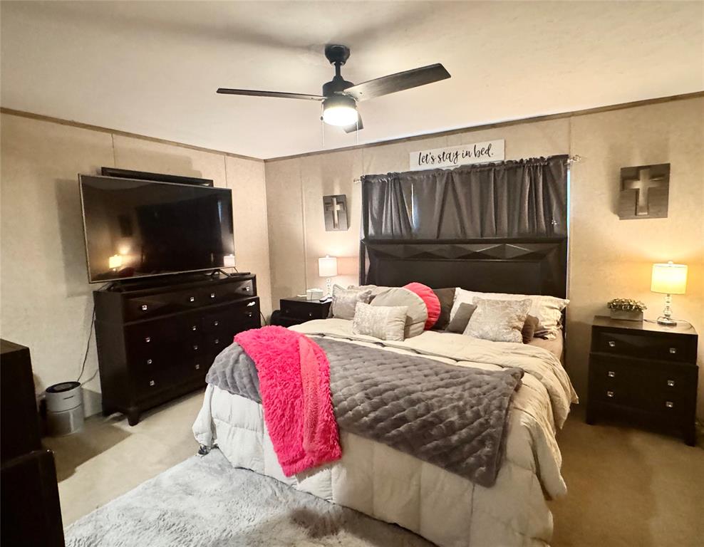 2369 Cr 2134, Romayor, Texas image 17