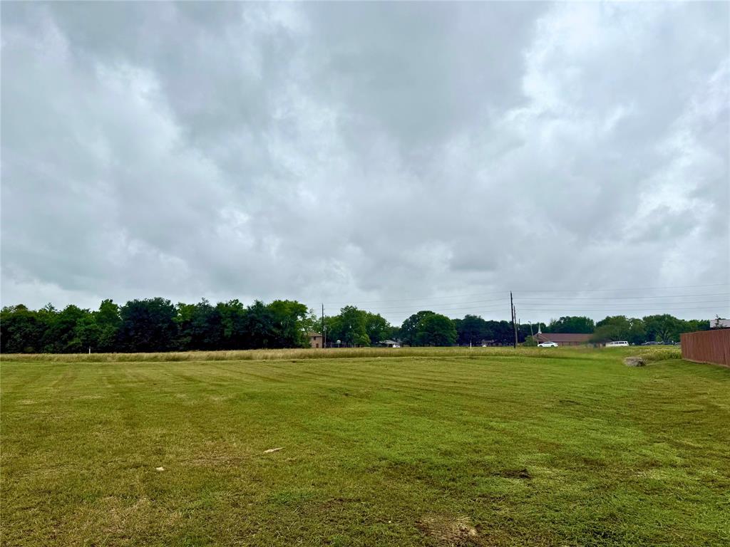 13503 Red Bloom Circle, Mont Belvieu, Texas image 2